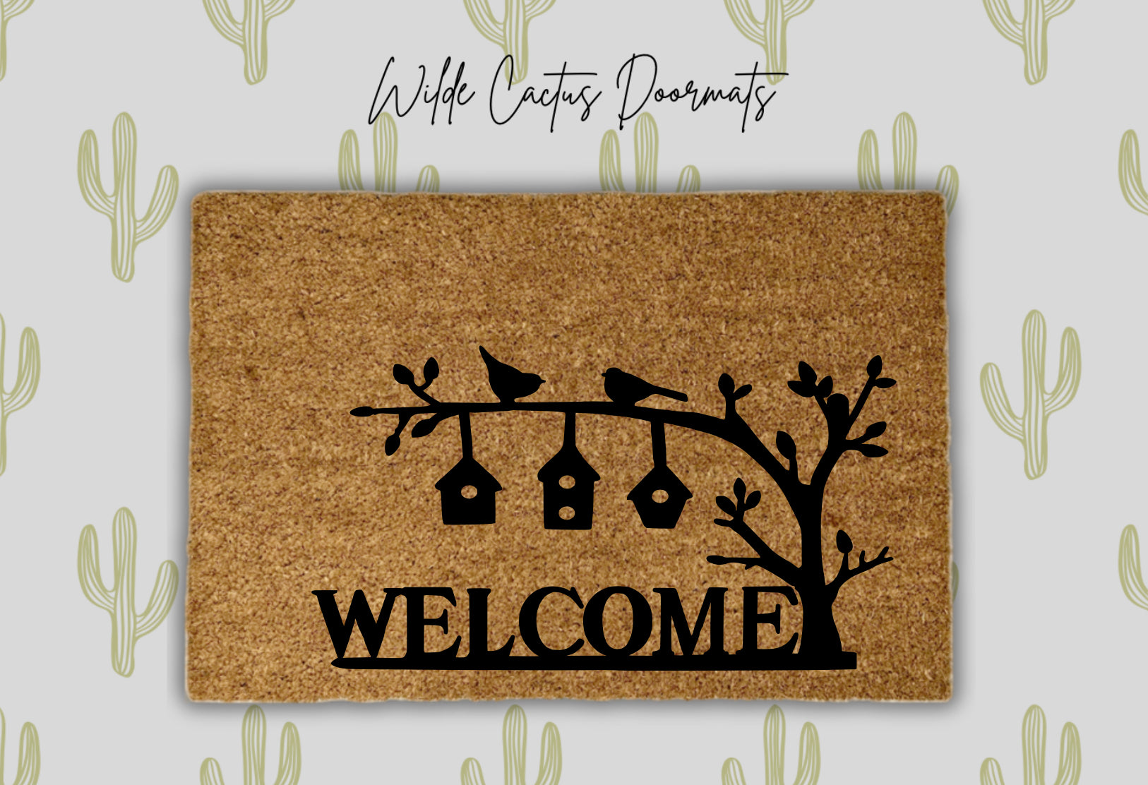 Welcome + Birds