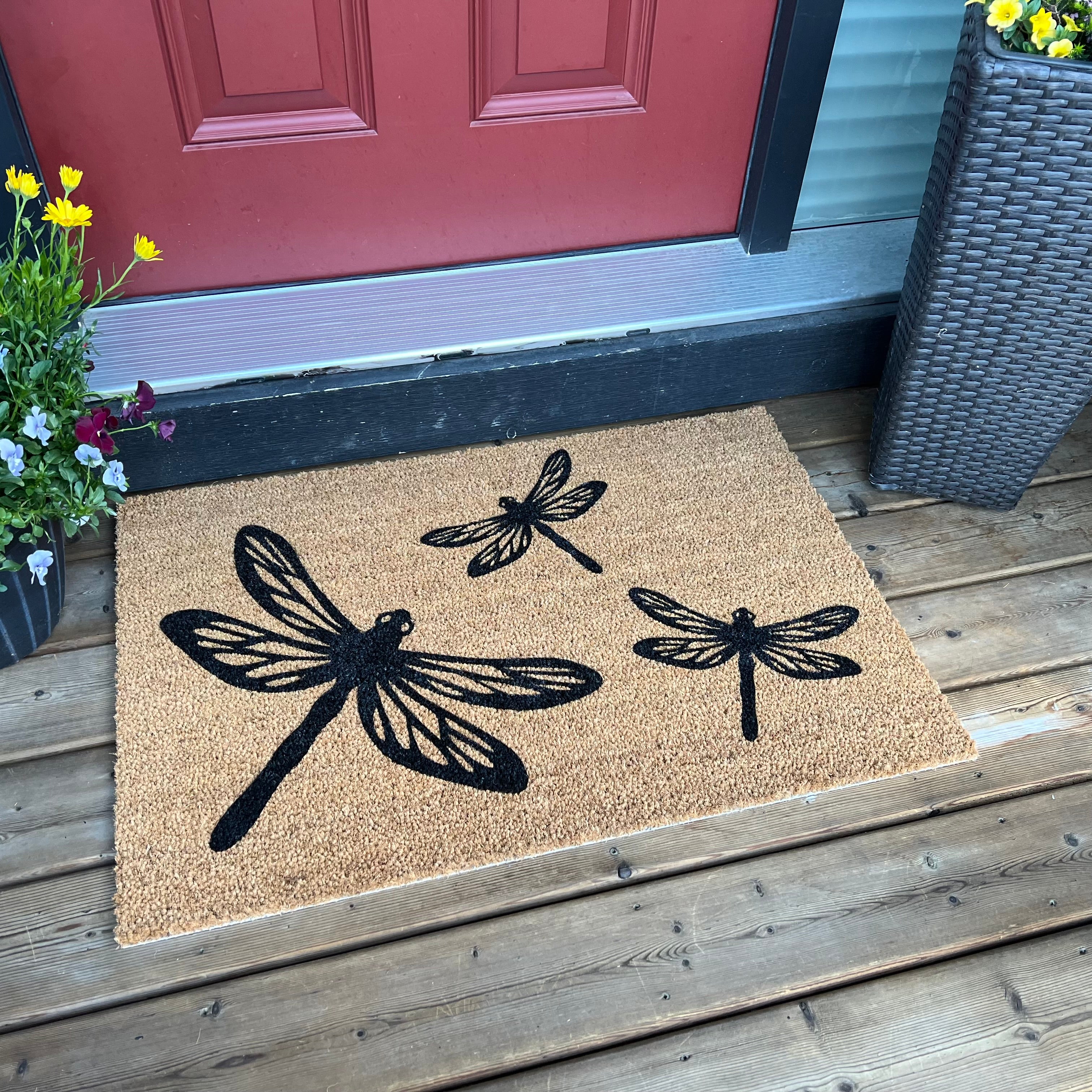 Dragonflies