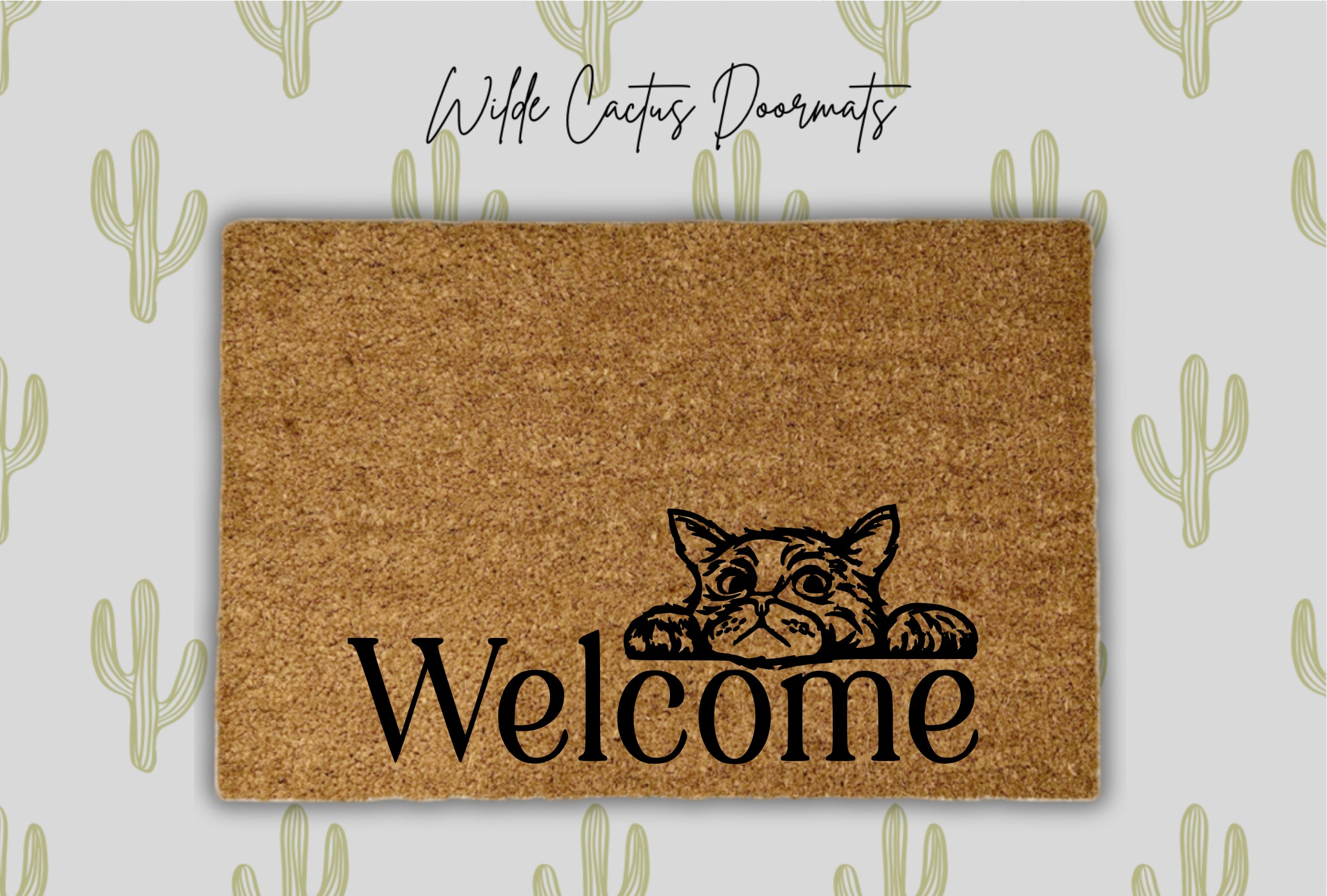 Welcome + Peering Cat