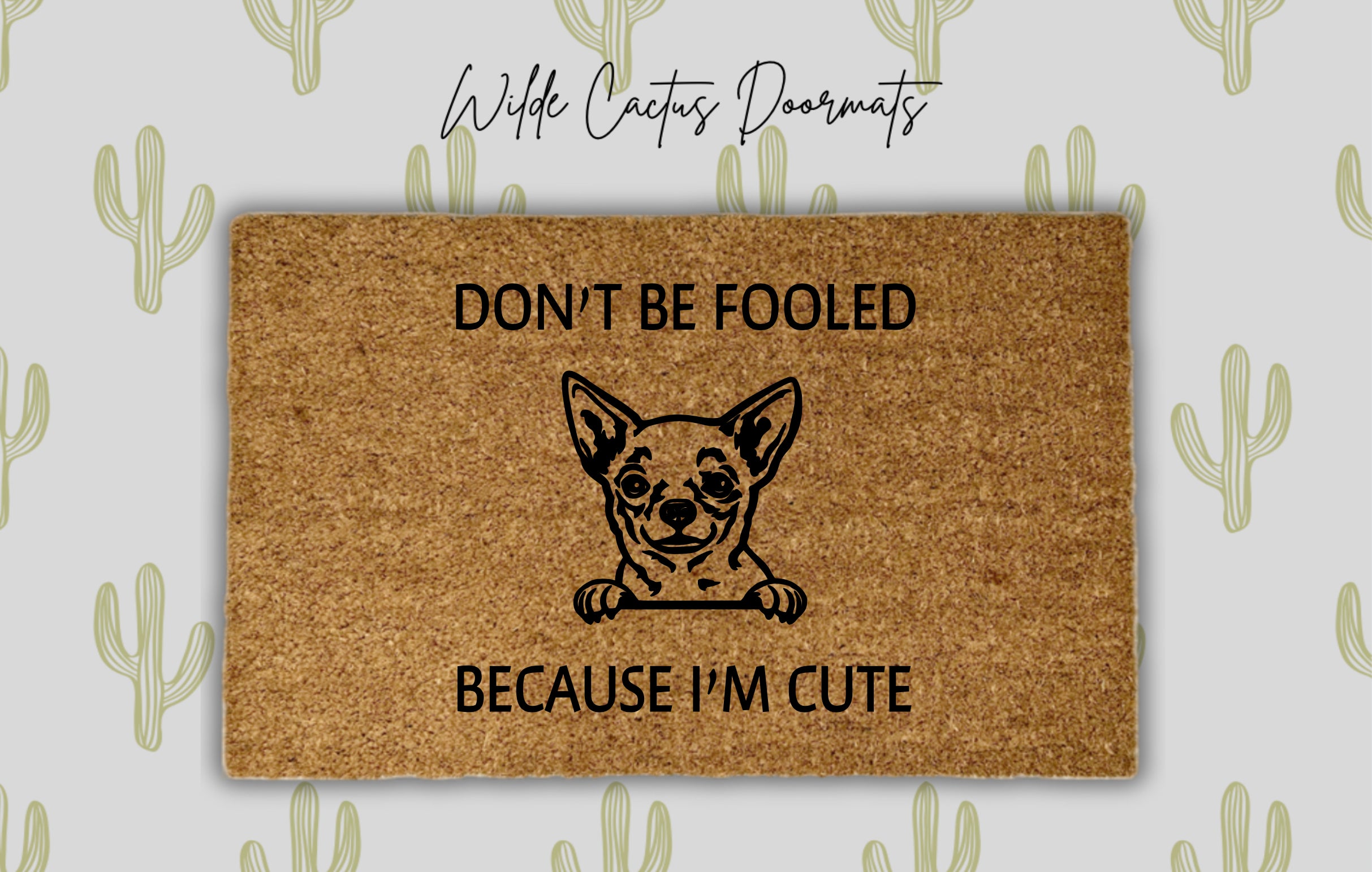 Chihuahua, Don’t Be Fooled Because I’m Cute