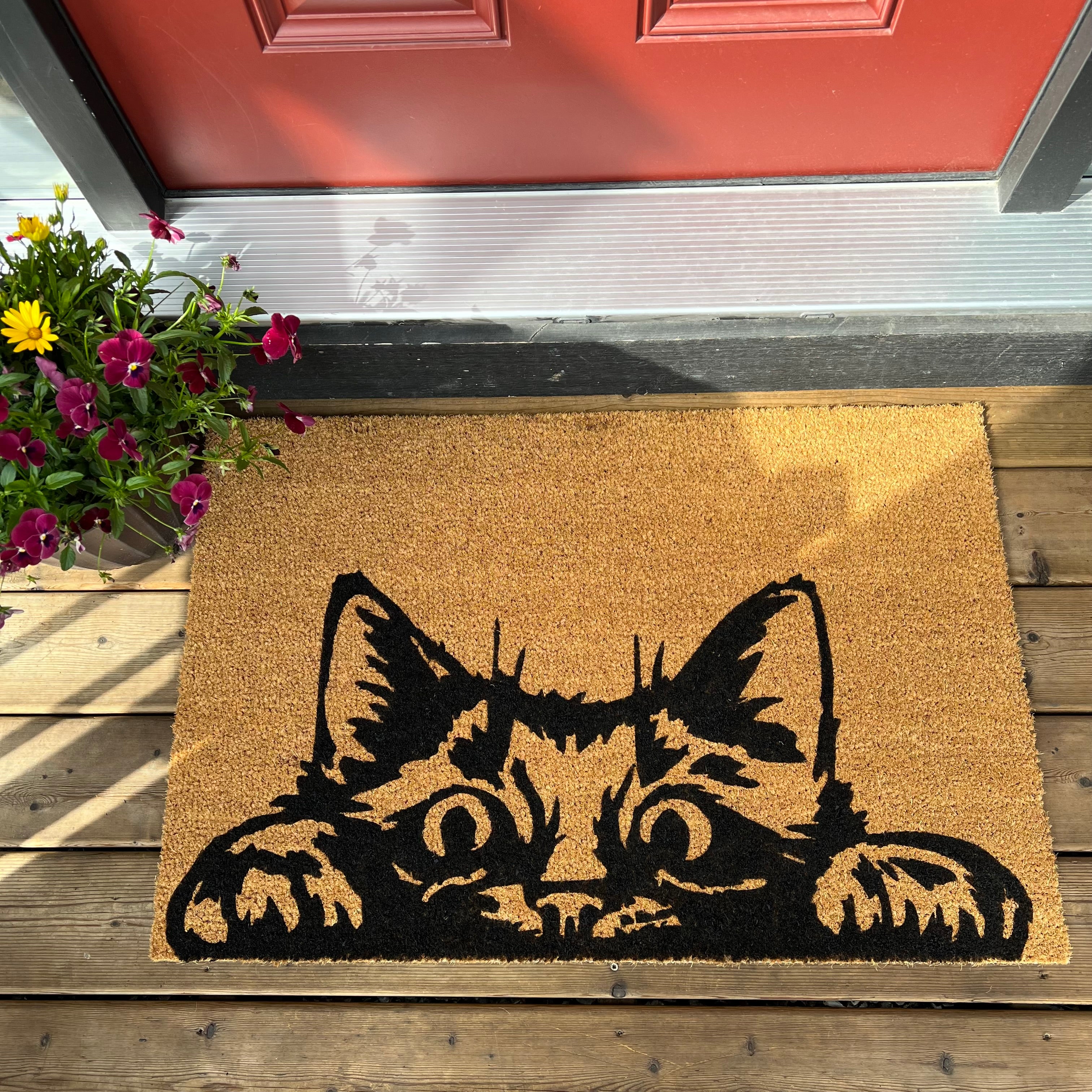 Peeking Cat