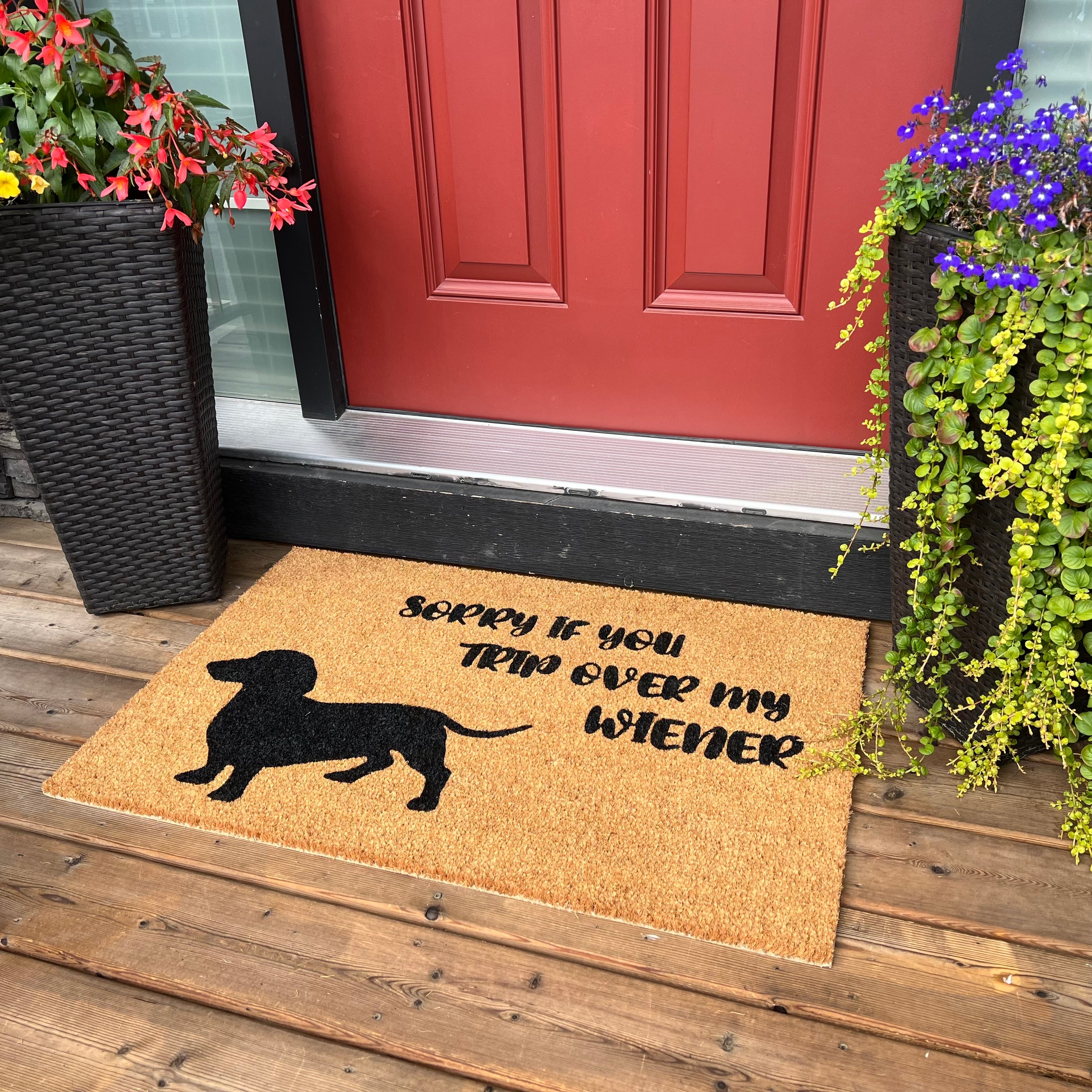Sorry if You Trip Over My Wiener