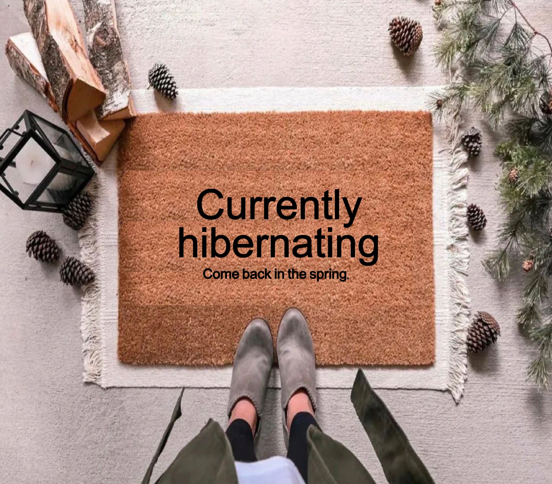 Currently Hibernating