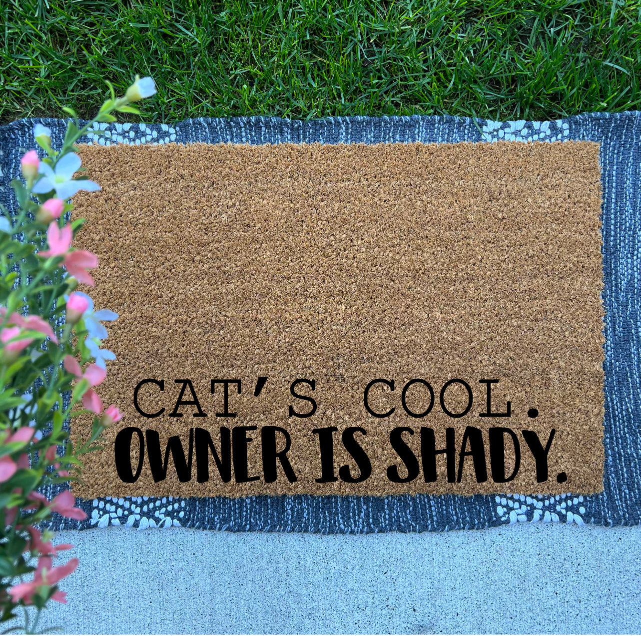 Cat’s Cool, Owner is Shady