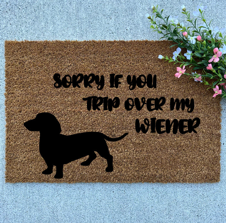 Sorry if You Trip Over My Wiener