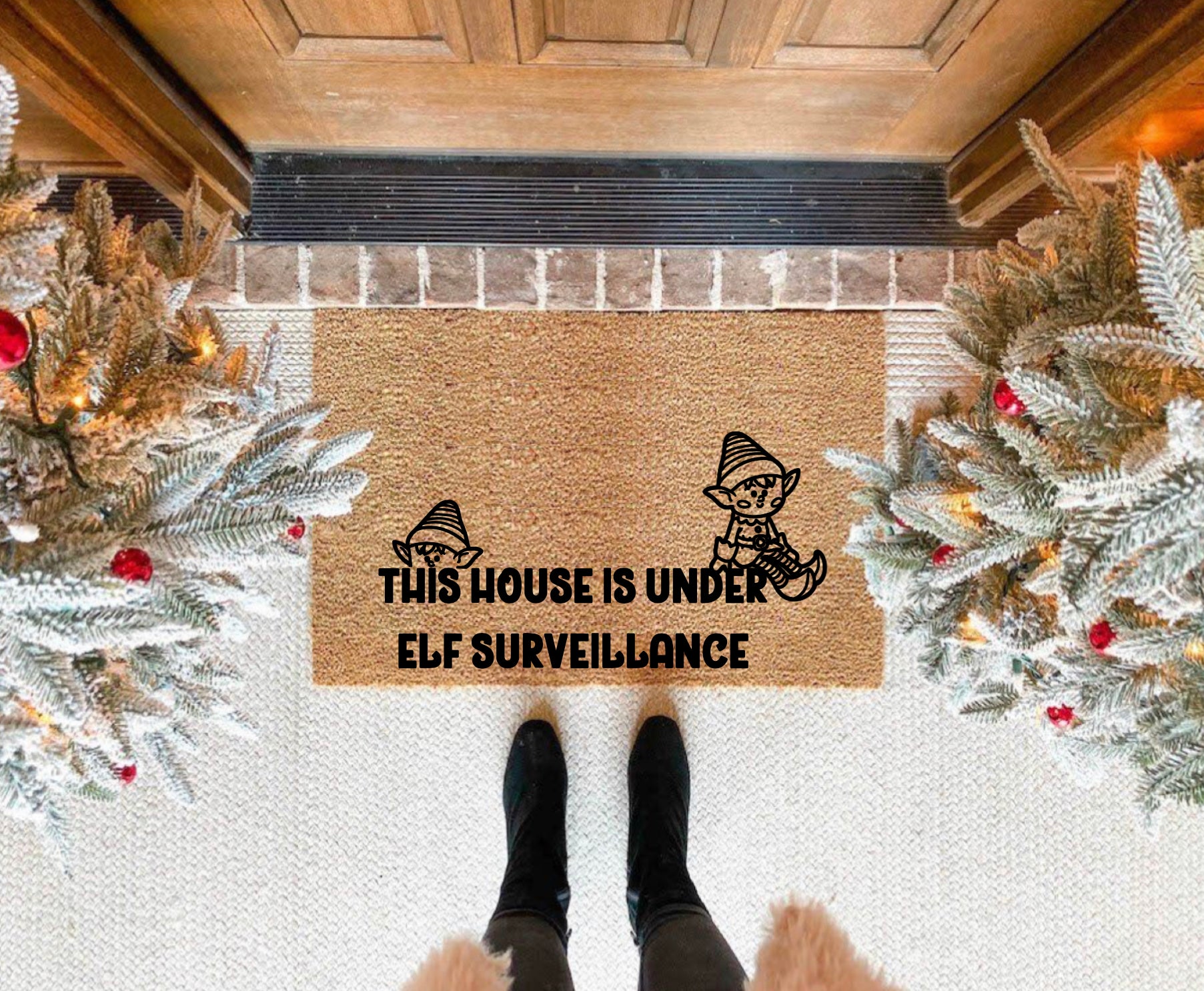 This House is a Under Elf Surveillance + Elf’s